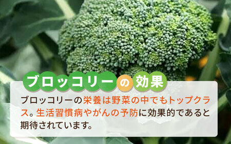 ブロッコリー 1kg 冷凍 旬の時期に急速冷凍 【福岡県糸島産】 糸島市 / オーガニックナガミツファーム 野菜[AGE053]