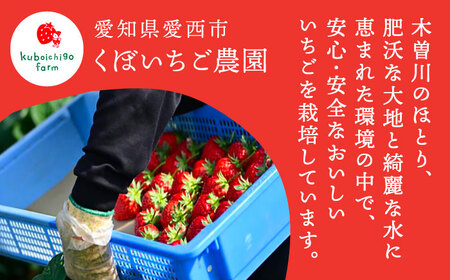 いちごバター 3本 苺 イチゴ ジャム バター【配達不可：離島】 / くぼ苺農園[AECJ023]