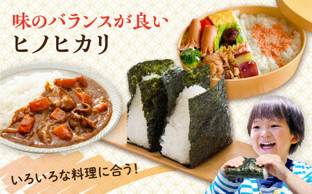 糸島産 ヒノヒカリ 3kg 糸島市 / 平山農園 米 白米 ご飯 お米 3kg[AXN005]