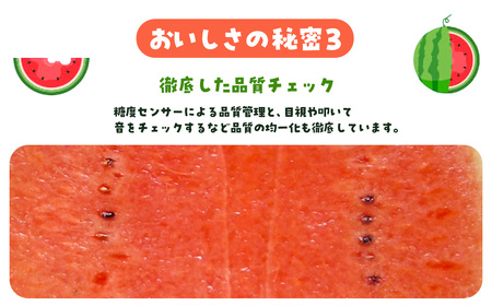 【先行予約】ぷちっと２玉入り　SMAF006