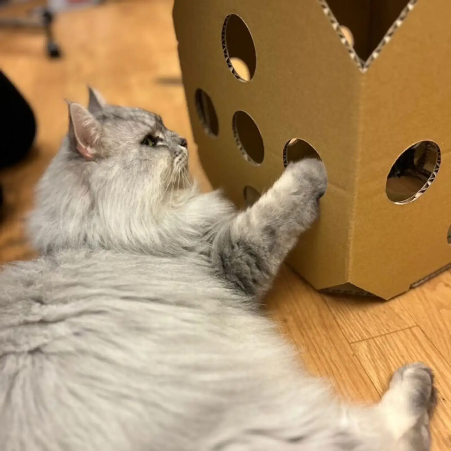 necowakuBOX
