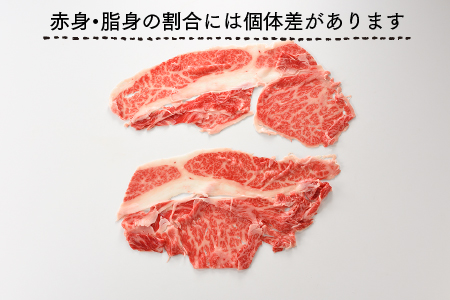 C111.A5ランク博多和牛しゃぶしゃぶ400g