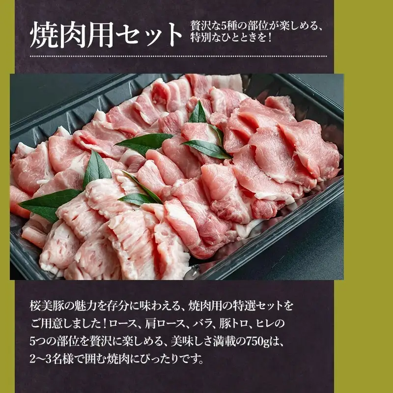 鶴岡産三元豚「桜美豚」焼肉用セット（ロース・肩ロース・バラ・豚トロ・ヒレ）約750g（2～3人前）　K-736　豚肉　長南牛肉店