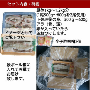 【先行予約】活き締め鱧（はも）セット（五人前～六人前）辛子酢味噌・ポン酢付き 湯引き 鱧しゃぶ