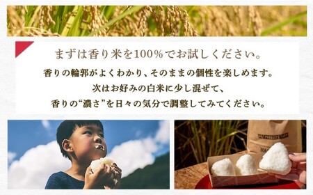 四万十育ち！冷めても香る幻の米『香り米』5kg／Fnp-01 香り米