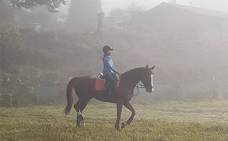 自然の中で馬とふれあう 伊達市で乗馬体験＆エサやり体験【60分】 馬 うま 乗馬 初心者 自然 体験 F21C-245