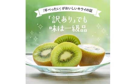 わけあり キウイ 7.5kg+250g（傷み補償分）扁平果 / 和歌山 家庭用 フルーツ 果物 くだもの ※2026年11月中旬より2027年4月下旬頃順次発送予定 ※北海道・沖縄・離島配送不可 【ikd715】