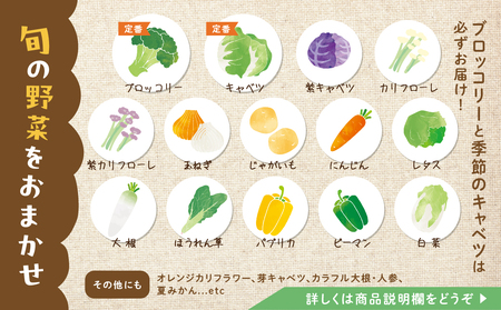 《先行予約》彩り野菜セット 5種 3回お届け 定期便 定期便