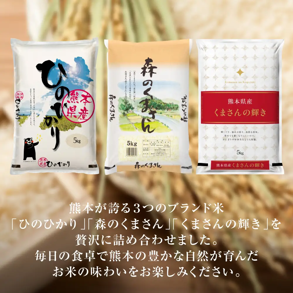 【令和7年産】 熊本県産 食べ比べセット (ひのひかり・森のくまさん・くまさんの輝き) 合計15kg (5kg×3袋) 米 お米 精米 白米 ごはん ご飯 熊本