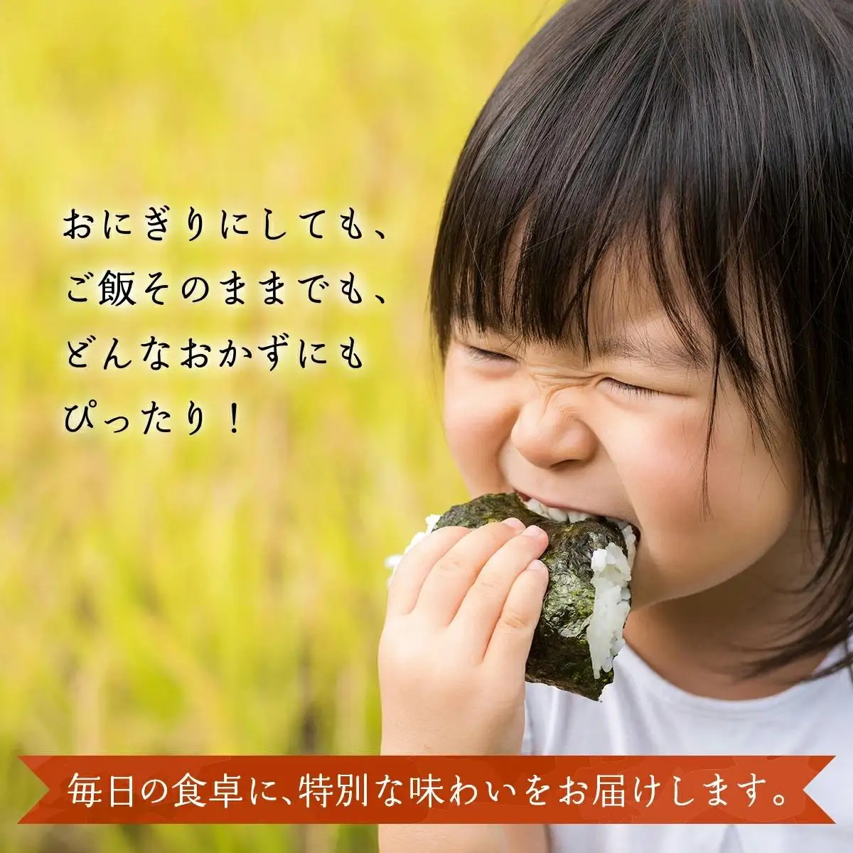 【2026年11月発送分】【先行予約】令和8年産 鏡野町産 コシヒカリ 精米 10kg（2kg×5袋）【033-a011】｜お米 米 白米