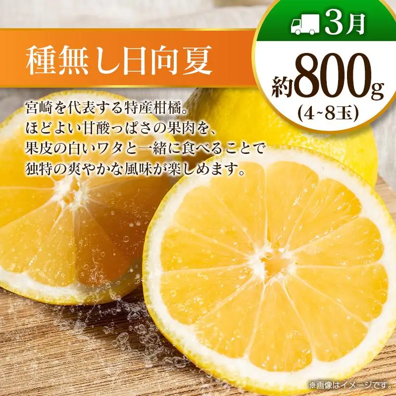 【奇数月 6回定期便】旬 人気 フルーツ 南国宮崎産 マンゴー ピオーネ いちご みかん メロン 日向夏 柑橘 ぶどう 果物 詰め合わせ 宮崎県 九州＜C-1コース M310＞