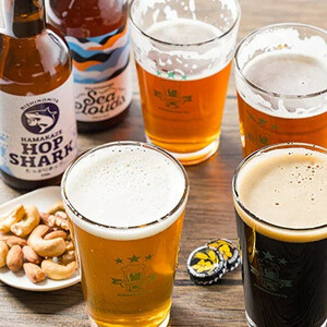 西宮発!Heal Soul Breweryのクラフトビール　アソート合計12本セット
