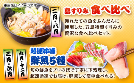 【12回定期便】五島のお魚！満喫定期便（2人前）/五島市[PZX054]