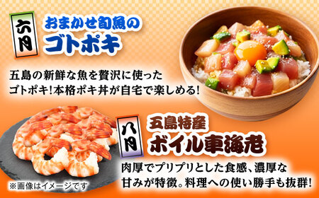 【6回定期便】五島のお魚！満喫定期便（4人前）/五島市[PZX055]
