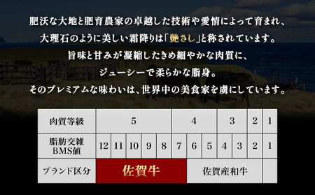 佐賀牛人気の赤身定期便C