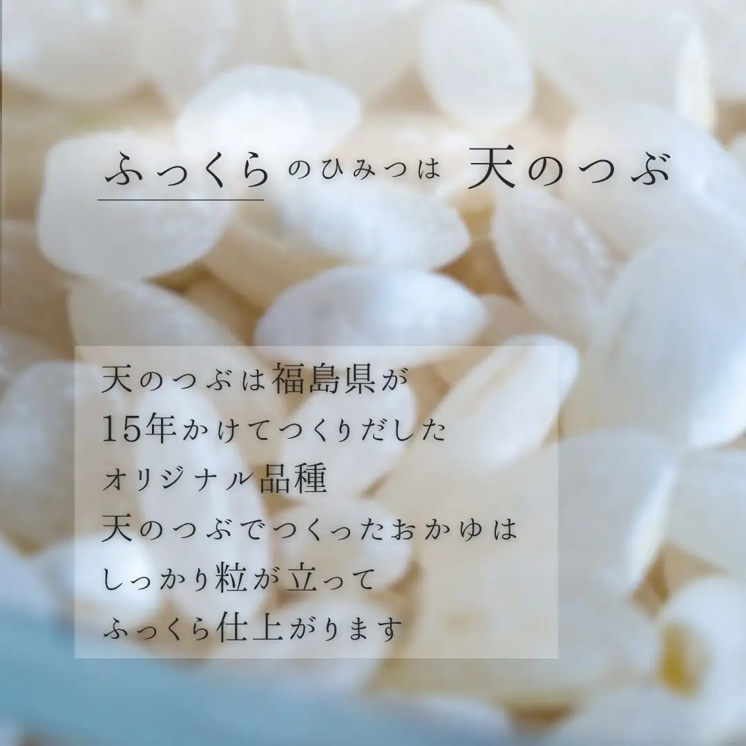ふっくら白がゆ 250g×20パック 無添加 国産100% ｜ お粥 レトルト 天のつぶ