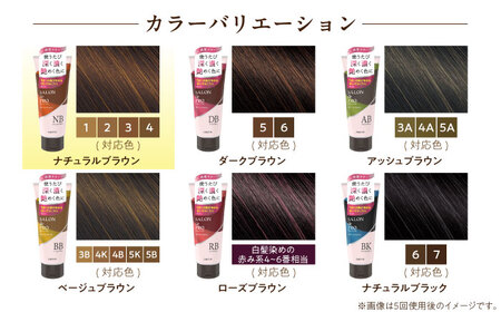 ダリヤ サロンドプロ カラートリートメント 3個セット【ナチュラルブラウン】 / 稲沢市 / 日興商事株式会社 [BMBK003-01]