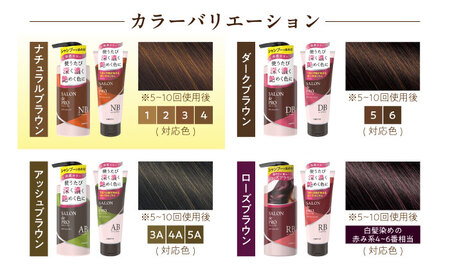 ダリヤ サロンドプロ カラーシャンプー・トリートメント 各3個セット【ナチュラルブラウン】 / 稲沢市 / 日興商事株式会社 [BMBK005-01]