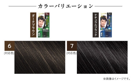 ダリヤ サロンドプロ EXメンズヘアマニキュア（白髪用） 3箱セット【ダークブラウン】白髪染め / 稲沢市 / 日興商事株式会社 [BMBK006-01]