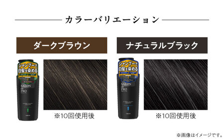 ダリヤ サロンドプロ メンズカラーシャンプー スカルプケア 3個セット【ナチュラルブラック】 / 稲沢市 / 日興商事株式会社 [BMBK008-02]
