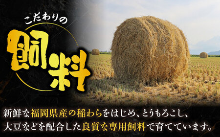【全3回定期便】博多和牛 切り落とし 500g 【8月発送開始】[VET017] 牛肉 肉 おすすめ 人気