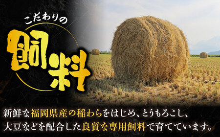 【全3回定期便】博多和牛 ロース サイコロステーキ用 400g 【2月発送開始】[VET032] 牛肉 肉 おすすめ 人気