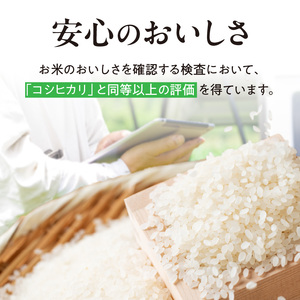 【令和8年度産】 先行予約 近江米『きらみずき』　化学肥料不使用米　5キロ×6回 偶数月お届け定期便（鮮度保持袋） DT-0009Tn