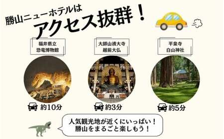 勝山ニューホテル ご宿泊クーポン券5,000円券［A-087001］