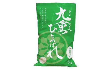 九重 ひとめぼれ 10kg （5kg×2袋） 【2025年11月上旬発送開始予定】 米 こめ コメ お米 精米 ご飯 ごはん 常温 国産