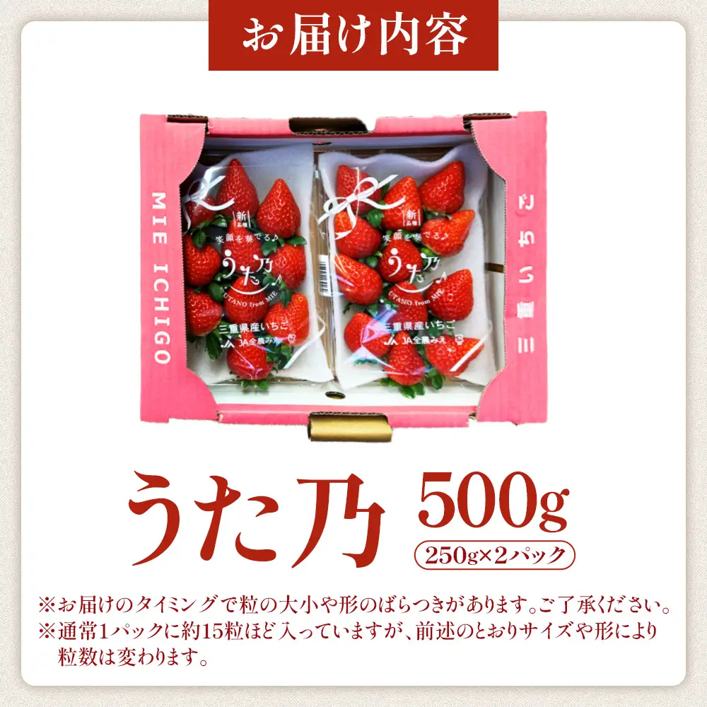 いちご【26年3～5月発送】うた乃 2パック×250g 完熟いちご