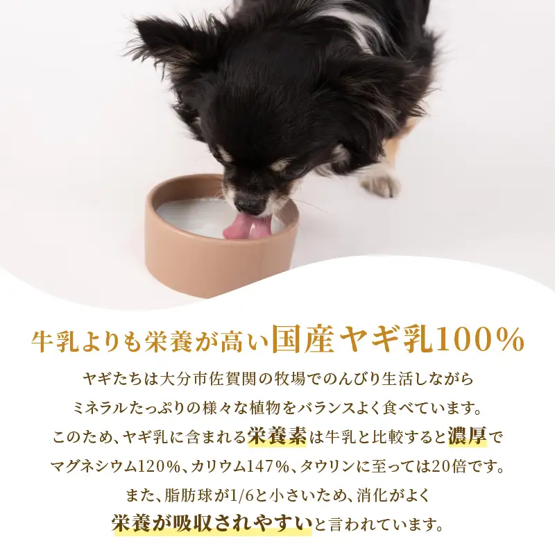 ヤギミルクのパウダー 50g×1パック R15017