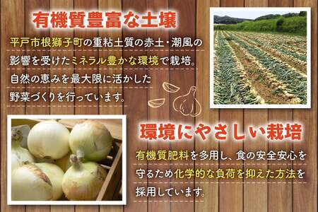 野菜 にんにく 玉ねぎ セット ジャンボにんにく 約1kg 新玉葱 約5kg 詰め合わせ 【期間限定発送】 [しげさん農園 長崎県 平戸市 hr42bgy420132]