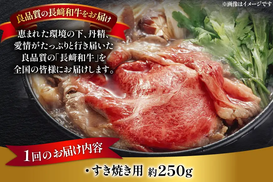 牛肉 長崎和牛 すき焼き 約250g [萩原食肉産業 長崎県 平戸市 hr42bgy410243]