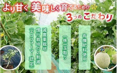 【令和8年産 先行予約】　若猪野アールスメロン 1.7kg 以上 1玉 箱入り ※2026年8月下旬より順次発送 [A-011013] 