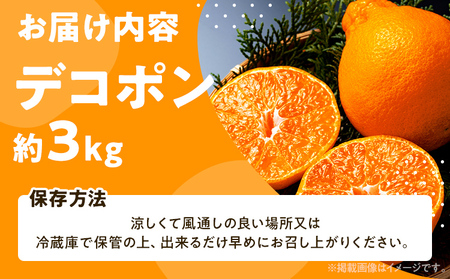 デコポン 3kg 【2月上旬頃から順次発送】 不知火 デコポン