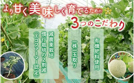 【令和8年産　先行予約】若猪野アールスメロン 2kg 以上 3玉 箱入り ※2026年8月下旬より順次発送 [A-011015]