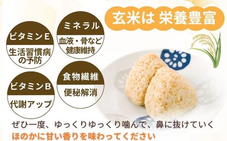 【定期6回】特別栽培米 ＜令和7年産 玄米 5kg＞ / ふるさと納税 栽培期間中農薬不使用 米 お米 こめ コメ 国産 新米 玄米 農家やまおか 奈良県 宇陀市
