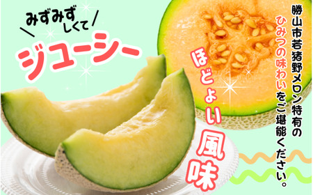 【令和8年産　先行予約・数量限定！】令和８年産　若猪野アールスメロン 1.6kg 以上 (赤肉・青肉各１玉）合計 2玉 箱入り ※2026年７月下旬より順次発送 [A-011016] 