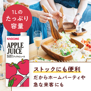 カゴメ アップルジュース ホテルレストラン用 1L 紙パック 24本入 [h172]