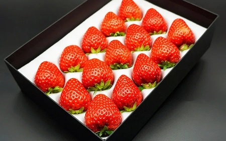 最高級ベリーバード 『絆』【期間･数量限定】_T2600406