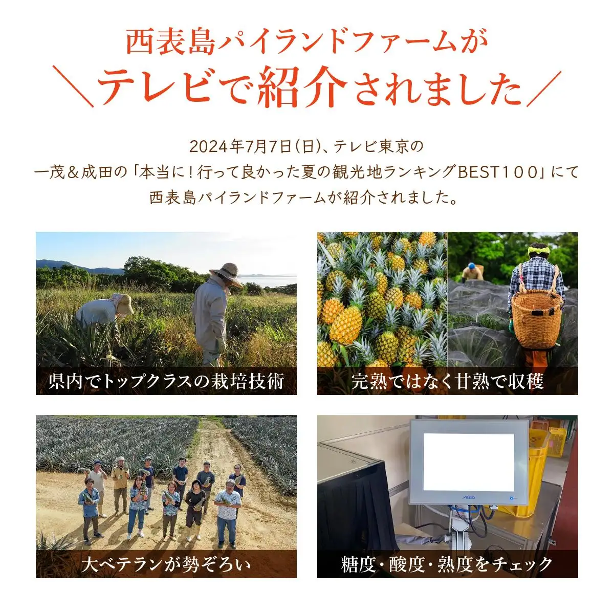 ＜訳あり！＞ピーチパイン4kgセット