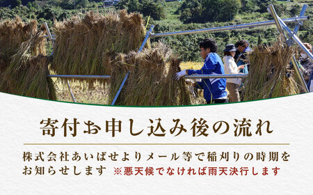 北塩原村川前棚田　稲刈り体験 KBAH003