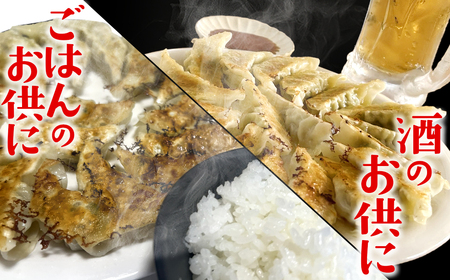 【茨城県共通返礼品】◎最短翌日発送◎ 冷凍餃子 約120個 K2663