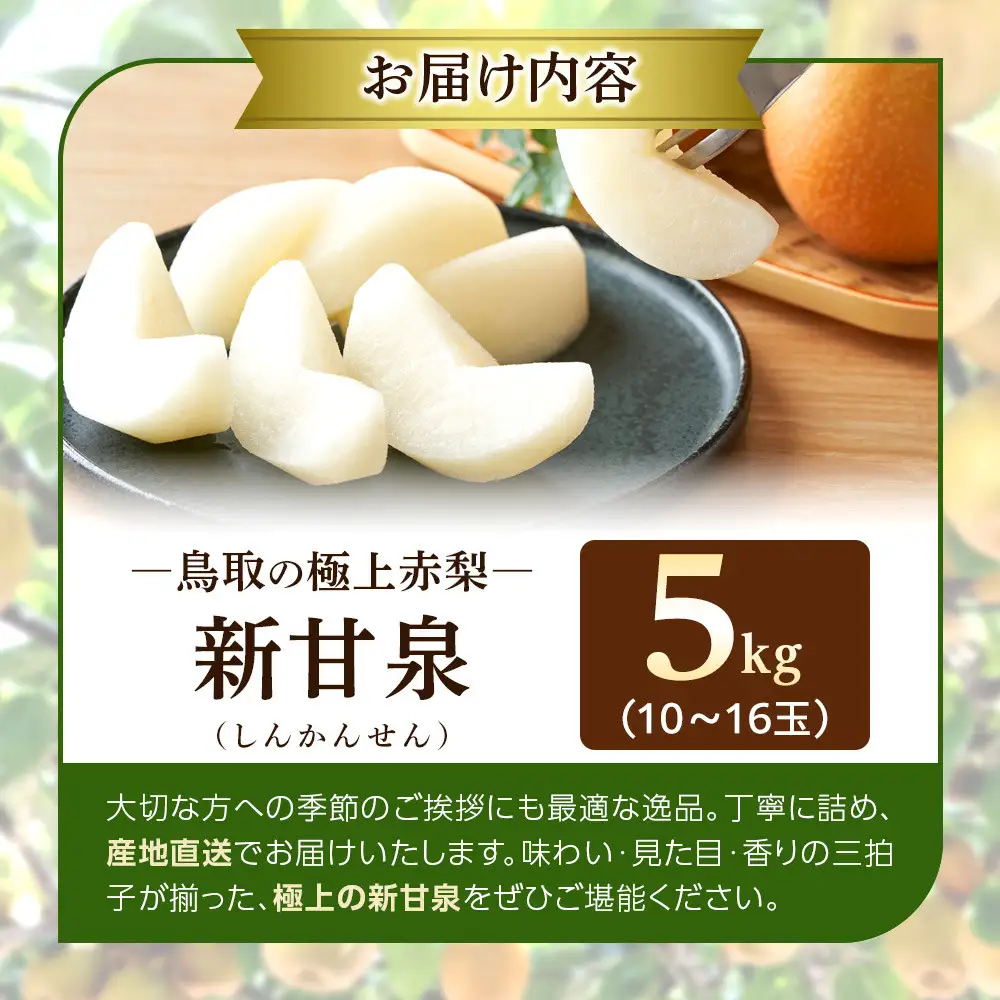 1121．【2026年度発送先行予約】数量限定　新甘泉　5kg