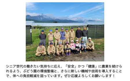 TK27 冷凍スムージー もみもみグレープ 100g×5個 // 長野県 南信州 ぶどう ナガノパープル クインルージュ グレープ スムージー 無添加 無加糖 朝食 おやつ アイス