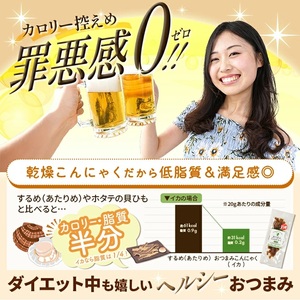 SA2973　宮田のおつまみこんにゃく　2種セット（貝ひも風・イカ風）20g入×各5袋　計10袋