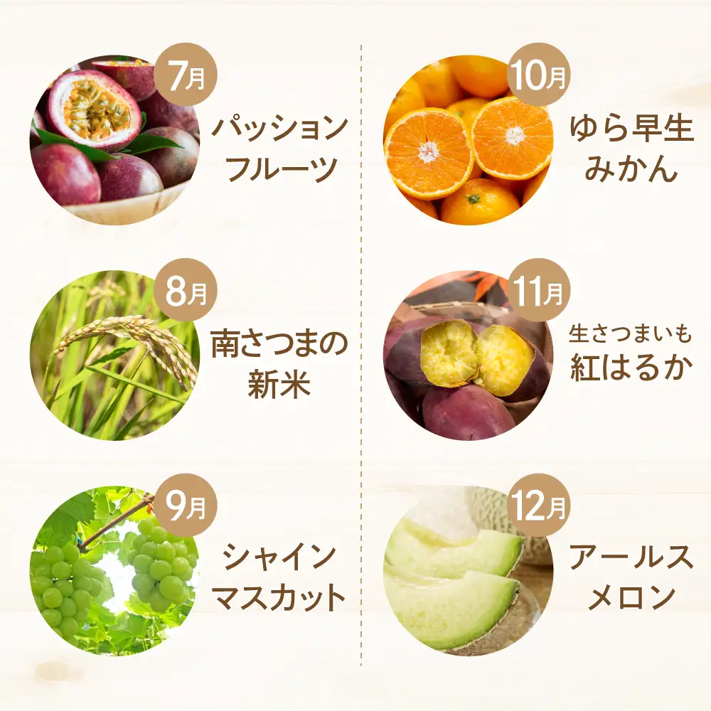 【定期便】南国の恵み 旬のフルーツ・野菜定期便（全12回） 鹿児島県産 果物 フルーツ 柑橘 みかん 野菜 お茶 米 お米 コシヒカリ ぶどう シャインマスカット マンゴー メロン 定期便