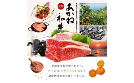 愛媛あかね和牛 赤身ウデモモ薄切り（すき焼き・しゃぶしゃぶ用）約600g 肉 お肉 【えひめの町（超）推し！（松前町）】（745）