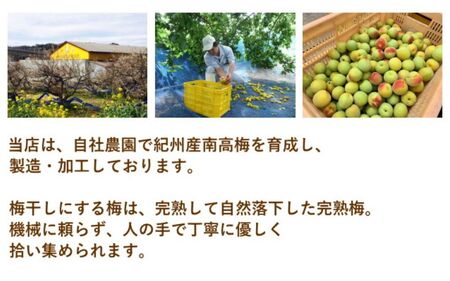 紀州南高梅 やわらか干し梅 梅短冊 はちみつ入り 80g（40g×2）個包装 / 和歌山 和歌山県産 田辺市 南高梅 干し梅 種なし はちみつ干し梅 柔らかい干し梅 個包装【nag004】