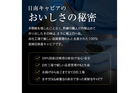 キャビアフィッシュ スモーク 50g 日南 キャビア 4g 黄金 セット 燻製 加工品 魚介 魚貝 魚卵 海産物 食品 国産 世界三大珍味 黒いダイヤ 希少 贅沢 おつまみ おすすめ 高級食材 人気 お祝 おもてなし お取り寄せ グルメ 特産品 宮崎県 日南市 送料無料_BB117-23